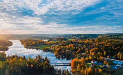 an aerial view of a lake surrounded by trees