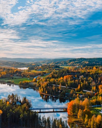 an aerial view of a lake surrounded by trees