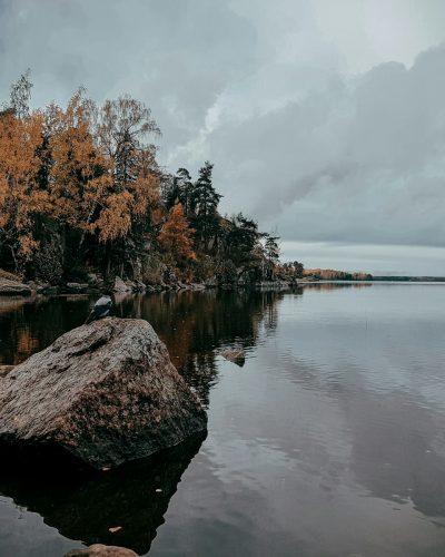 brown trees beside body of water under cloudy sky during daytime